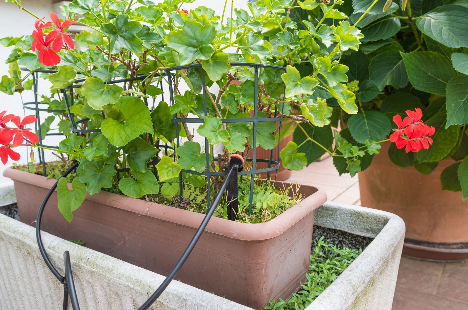 Micro drip irrigation system