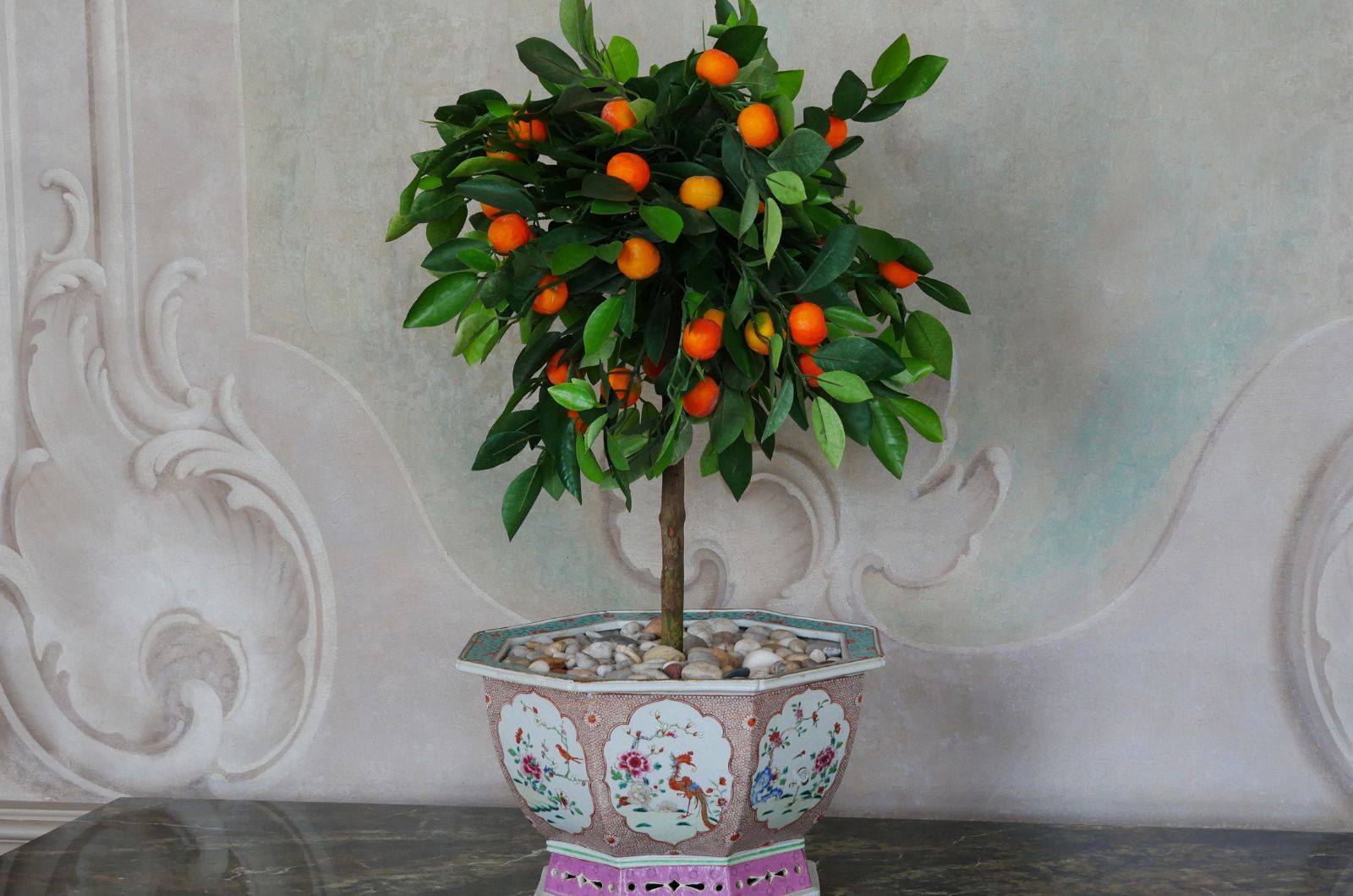 Orange plant in the pot