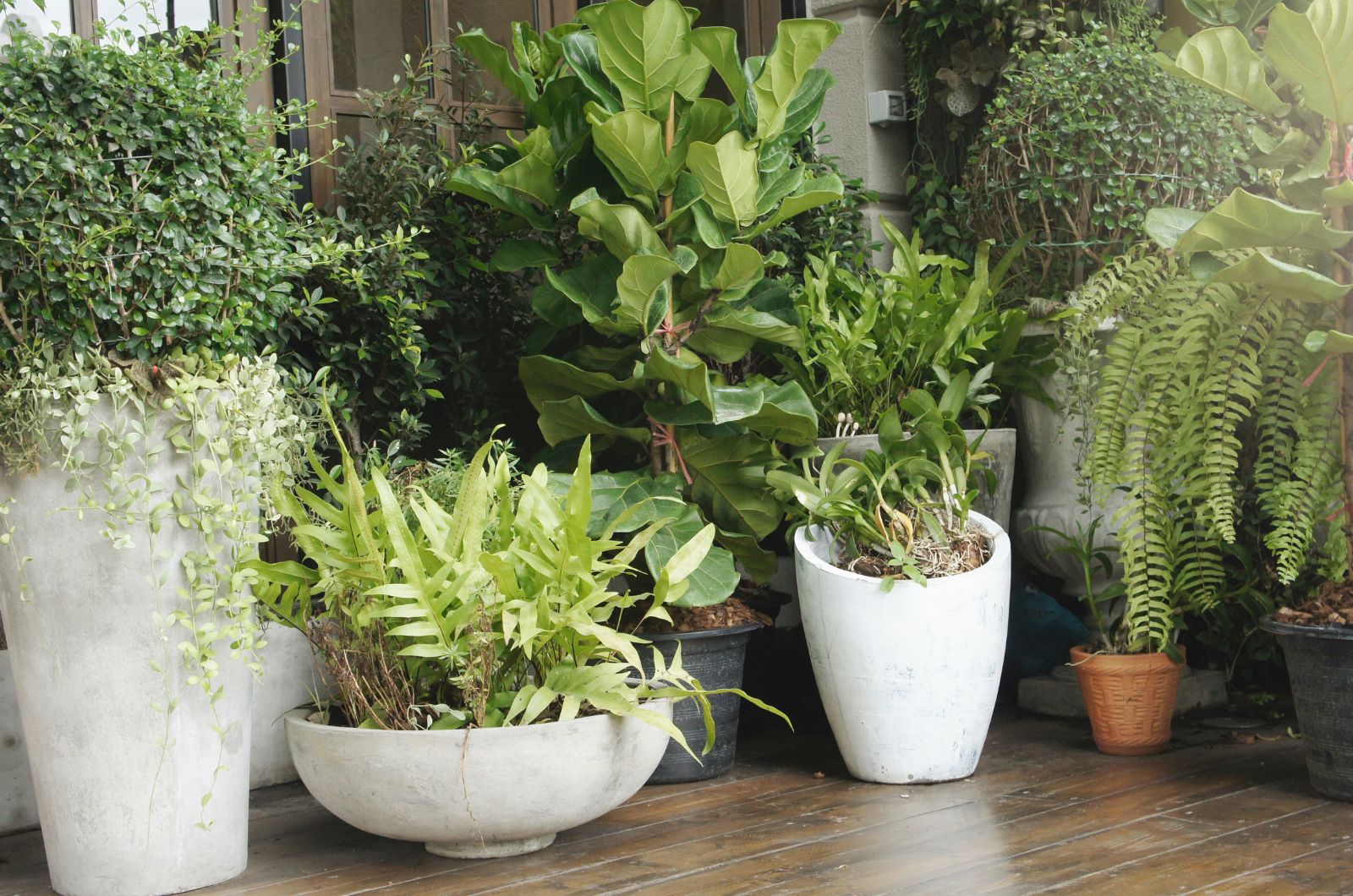 Outdoor plant pots