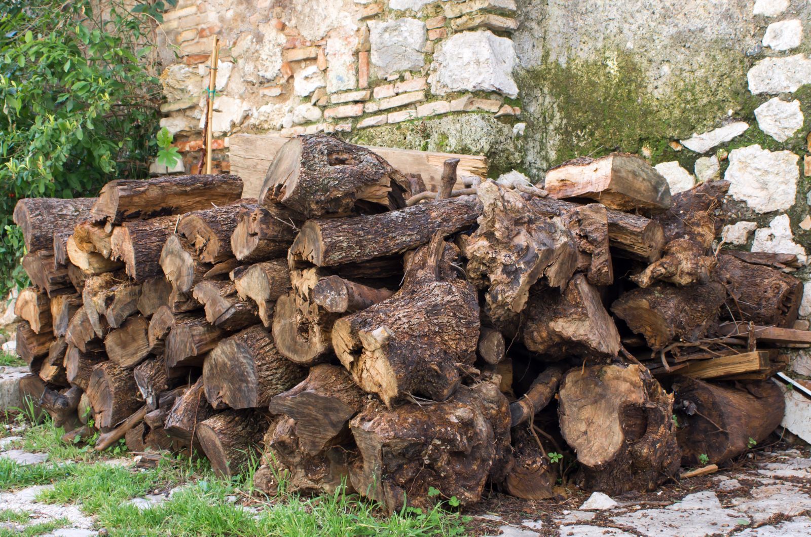 Pile of wood in a garden