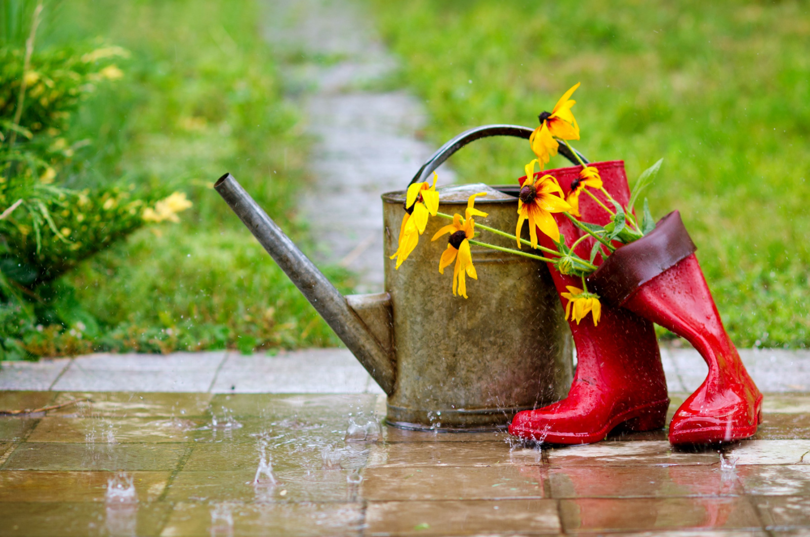 Red rain boots, watering can and flowers