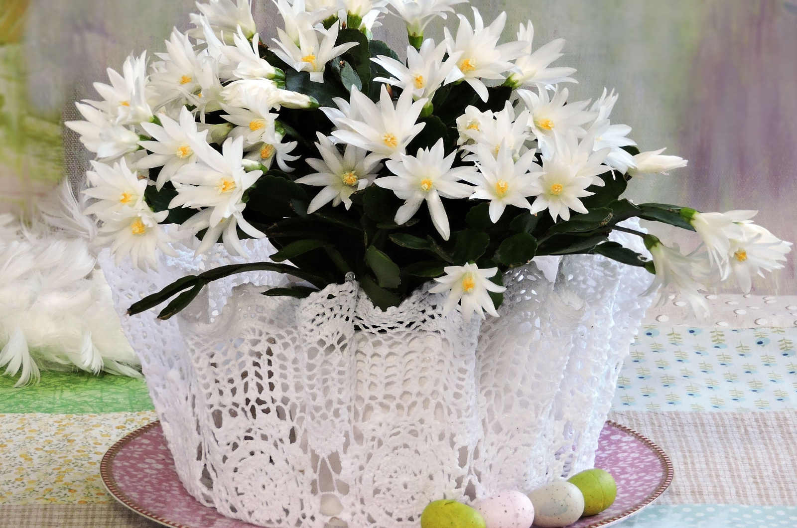 White Easter cactus