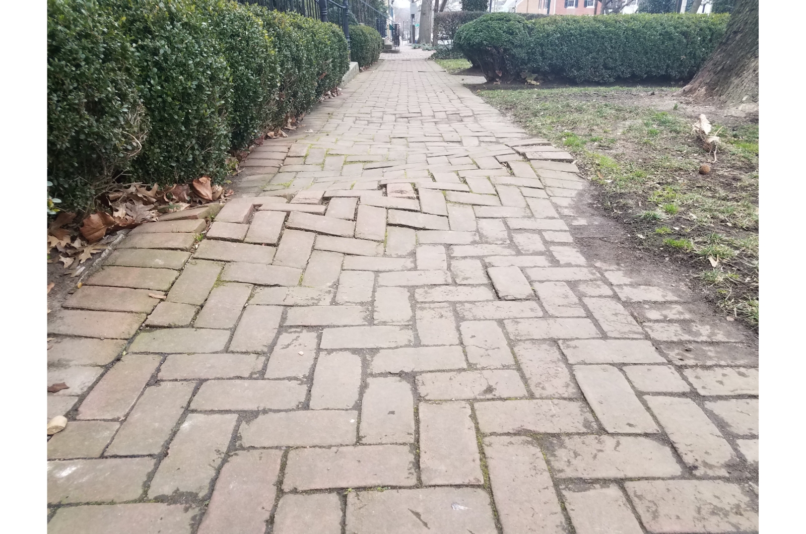 bumpy brick sidewalk