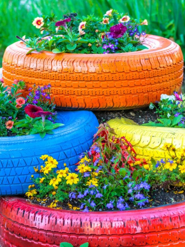 colored old tires