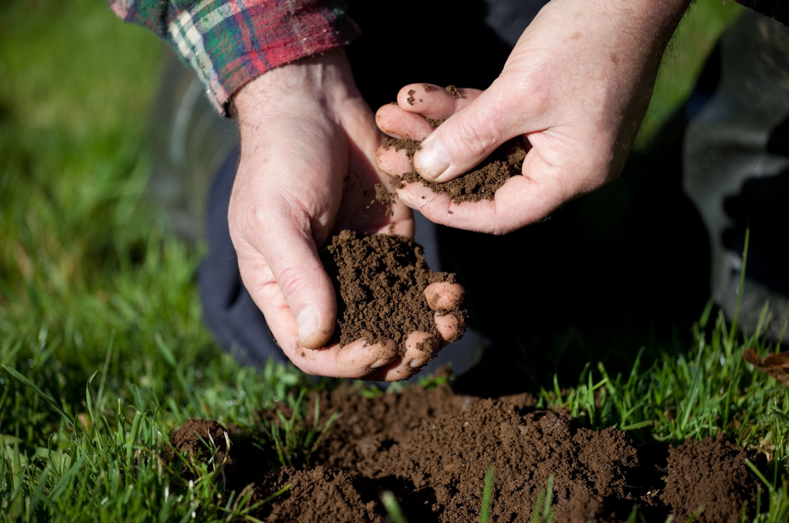 gardener holding soil in hand closeup