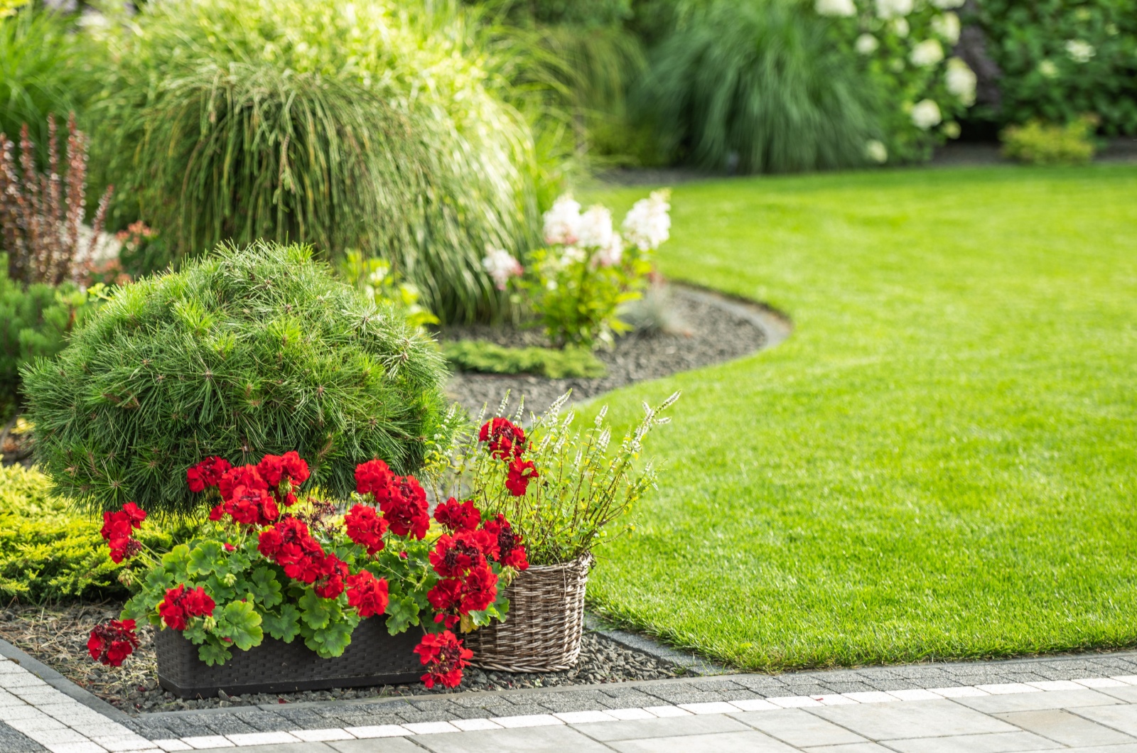 photo of a garden