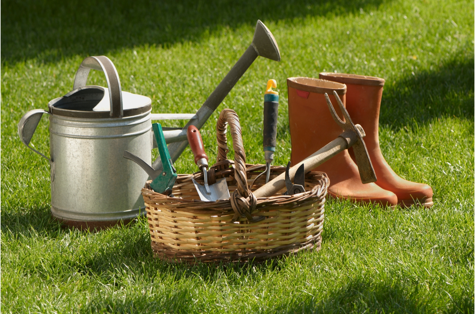 photo of garden tools