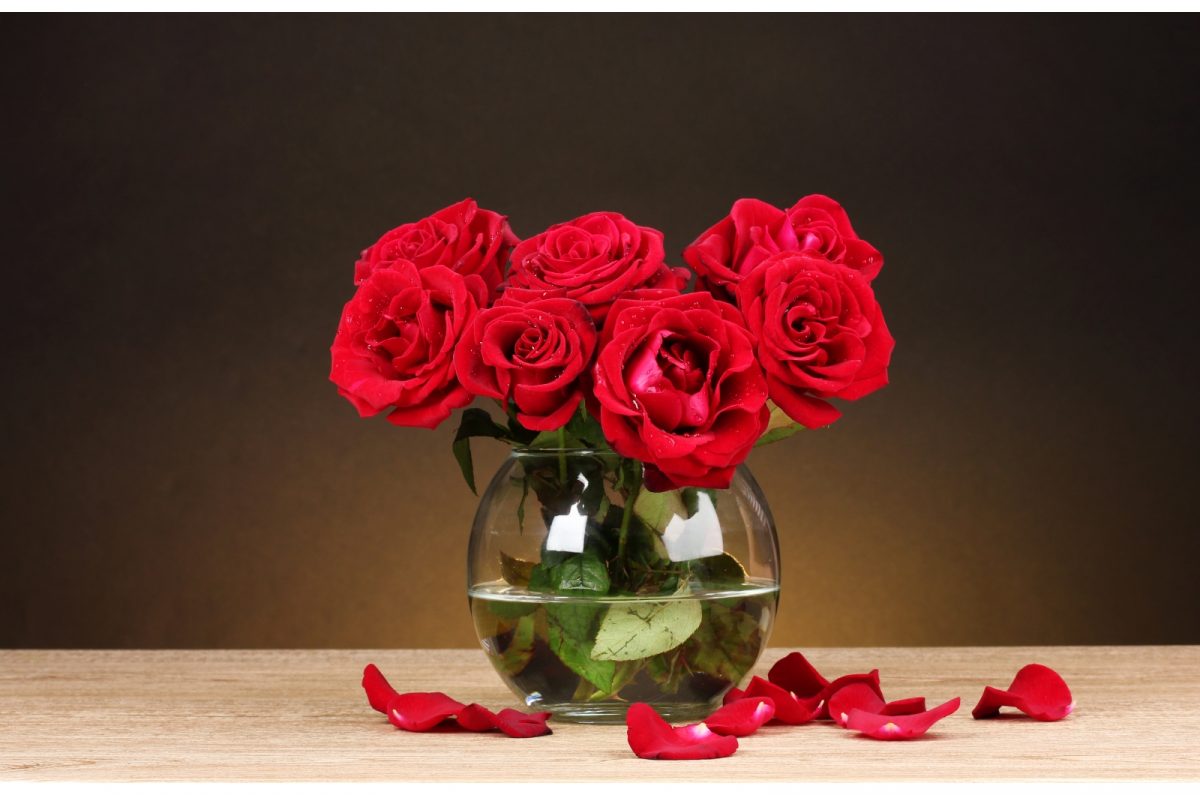 5 Tips To Make Your Roses Last Longer