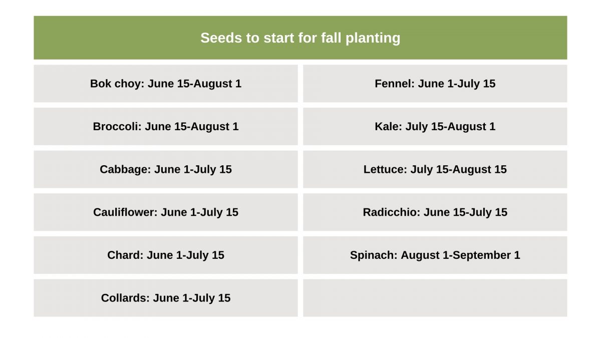 When You Should Start Seeds In USDA Zone 6
