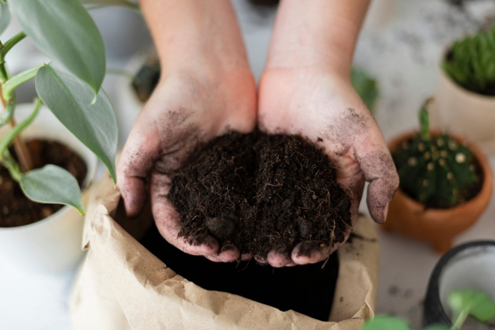 soil in hands above bag