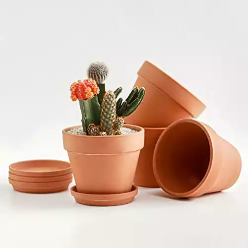 Terracotta Clay Pots with Tray