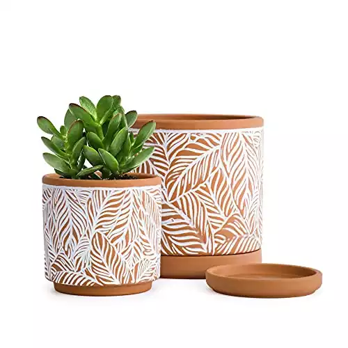 Leaf Pattern Terracotta Pots