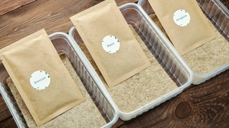 Do Garden Seeds Really Expire?