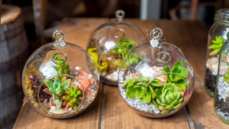 terrariums