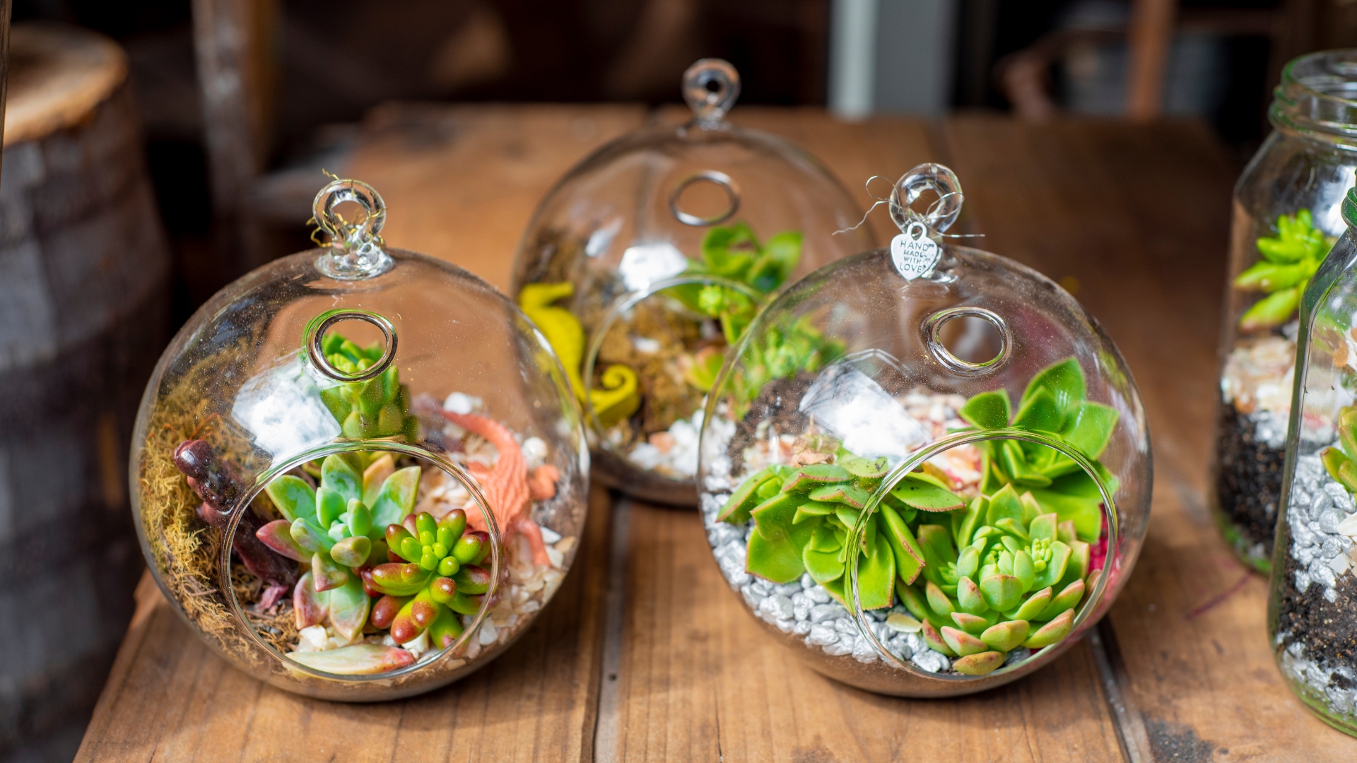 Don’t Put Just Any Plant In Your Terrarium. Check Out 7 Ideal Plants For Thriving Terrariums!