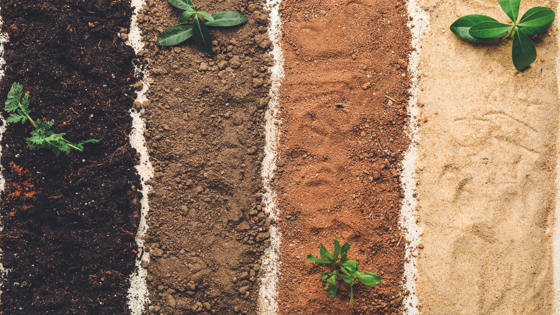 Exactly What Does The Color Of Your Garden Soil Mean?