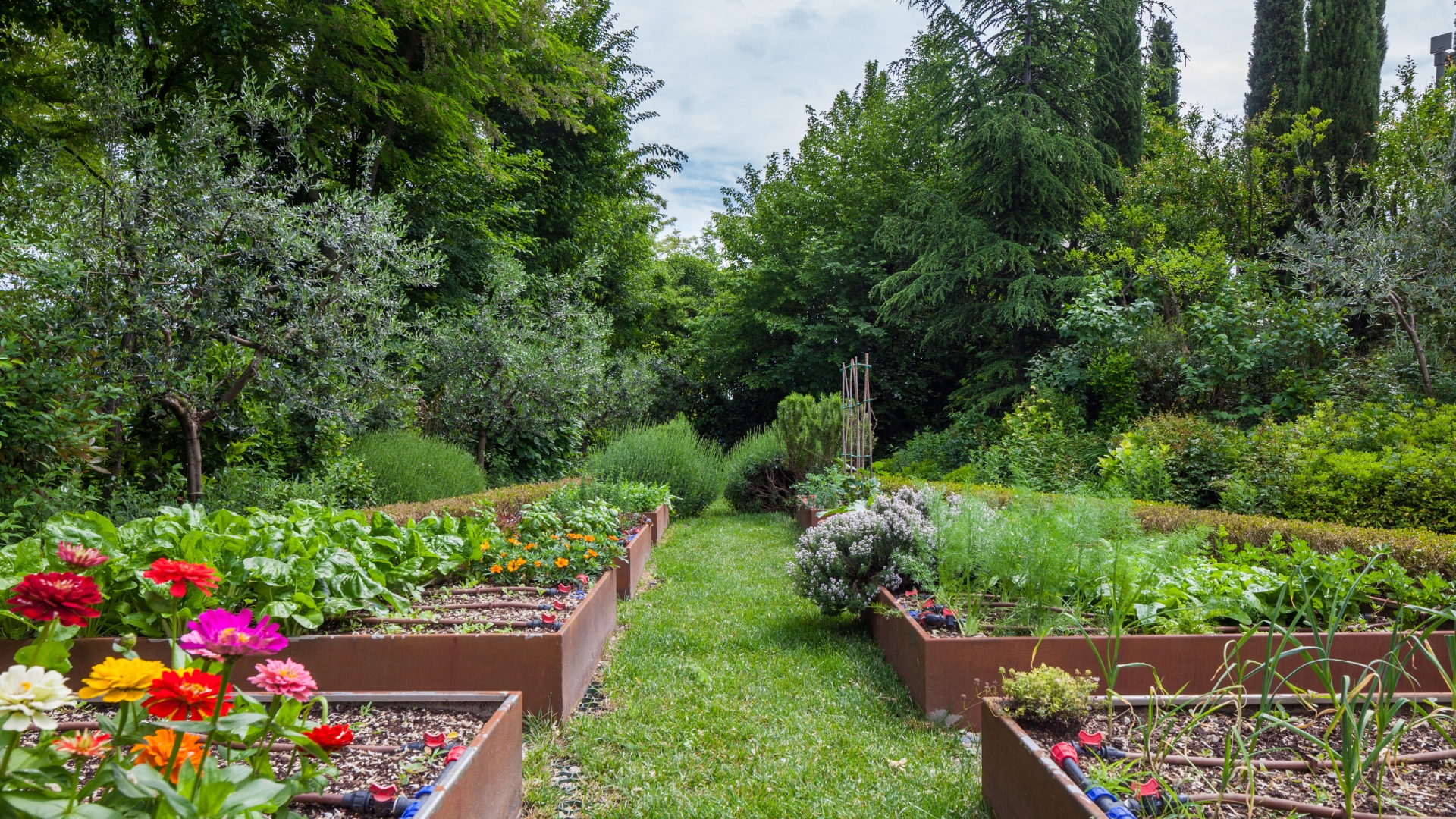 Gardening Guide: Growing Patience And The Benefits Of Planning Your Garden