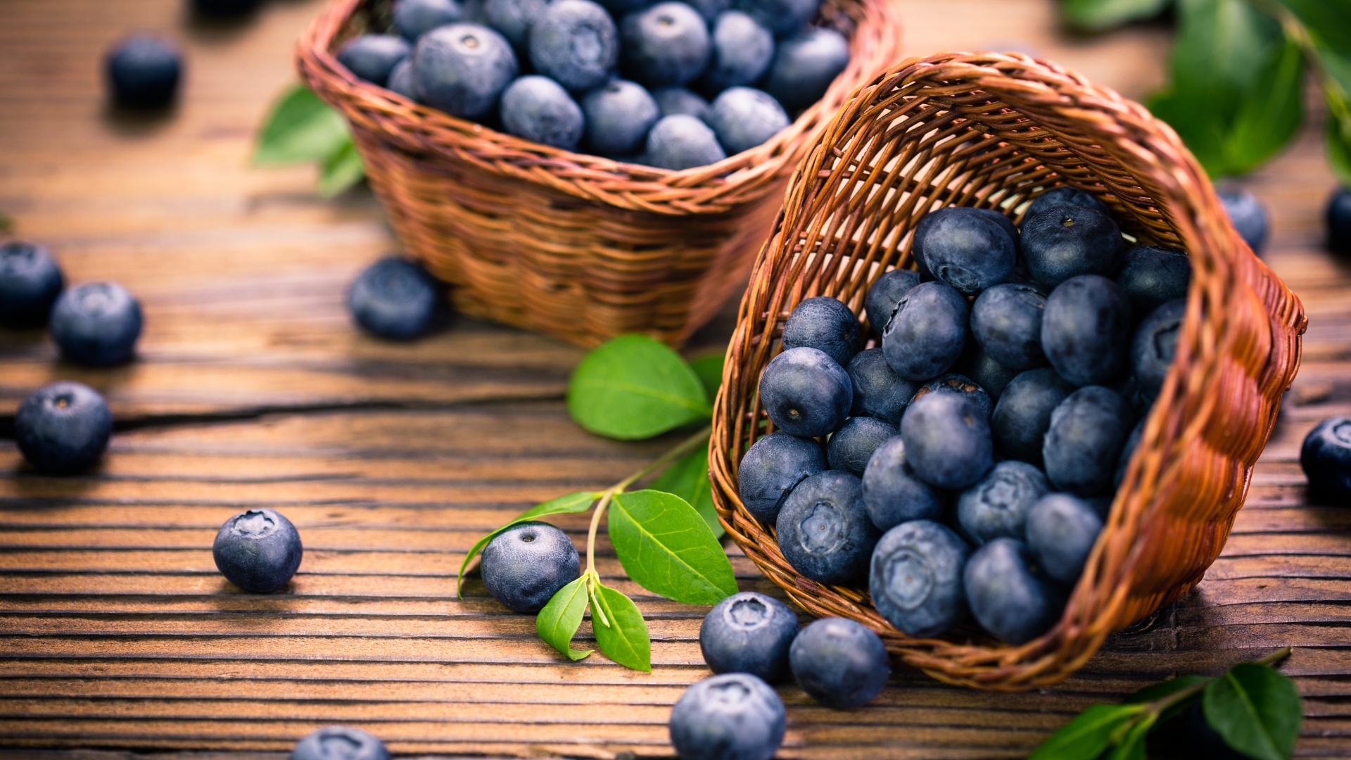 false blueberries facts