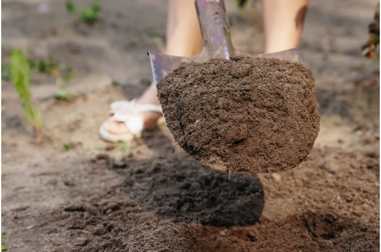 Shovel with dirt