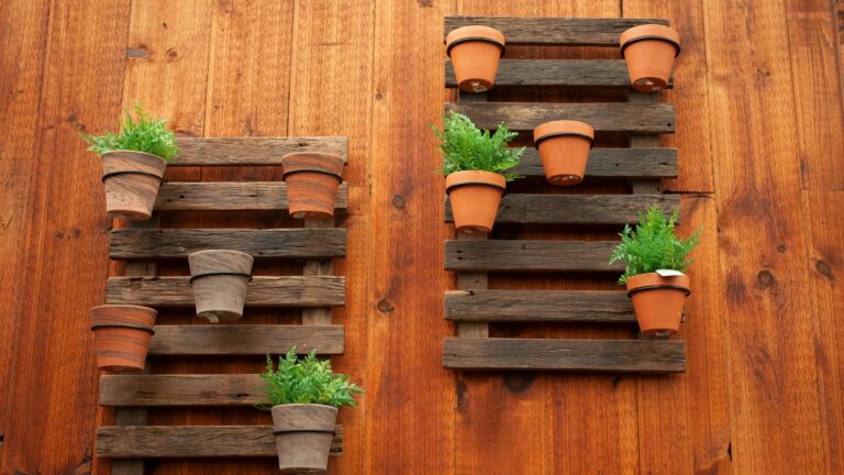 terracotta indoor planters