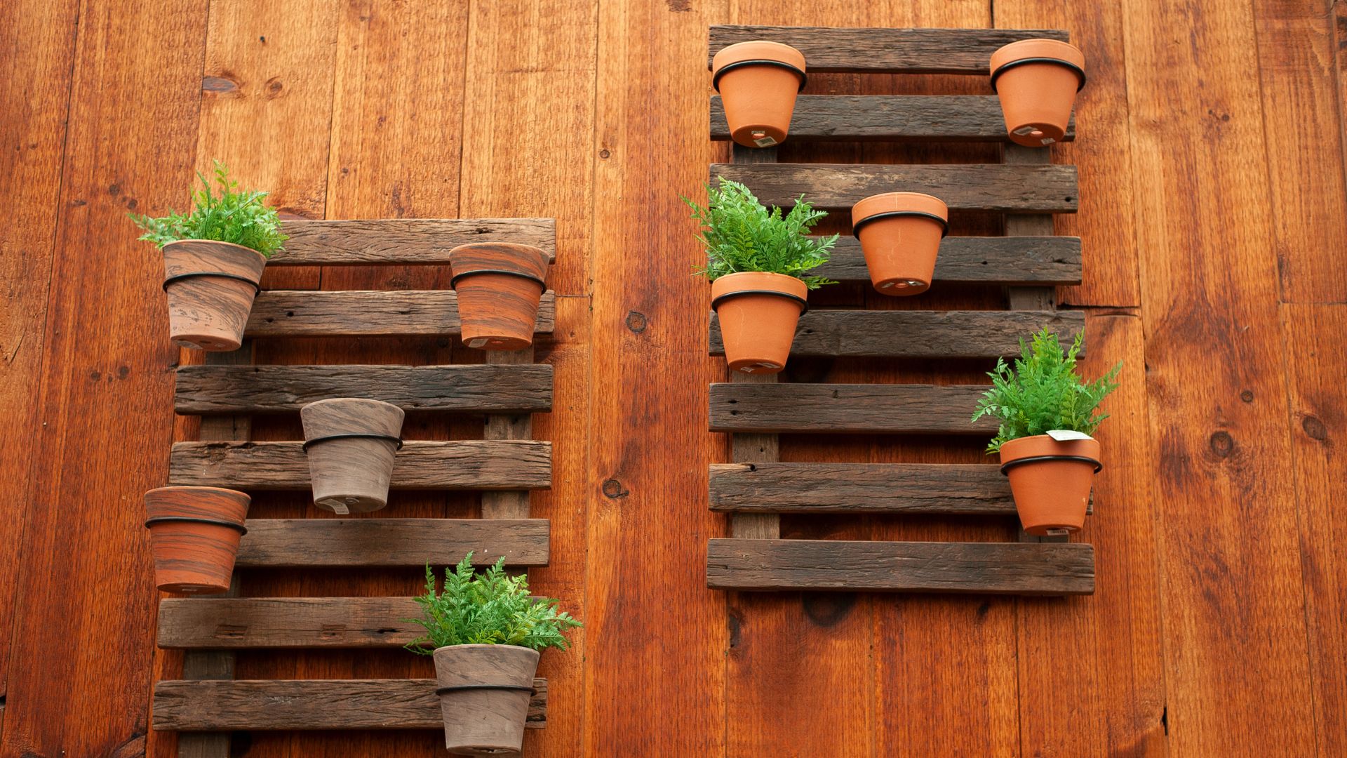 terracotta indoor planters