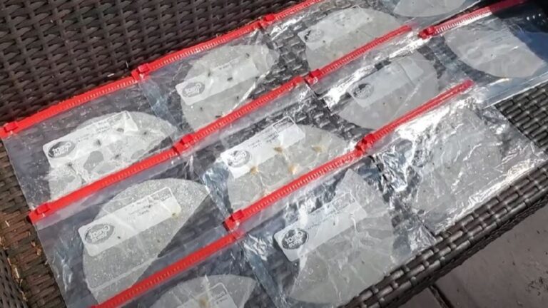 coffee filters for seeds