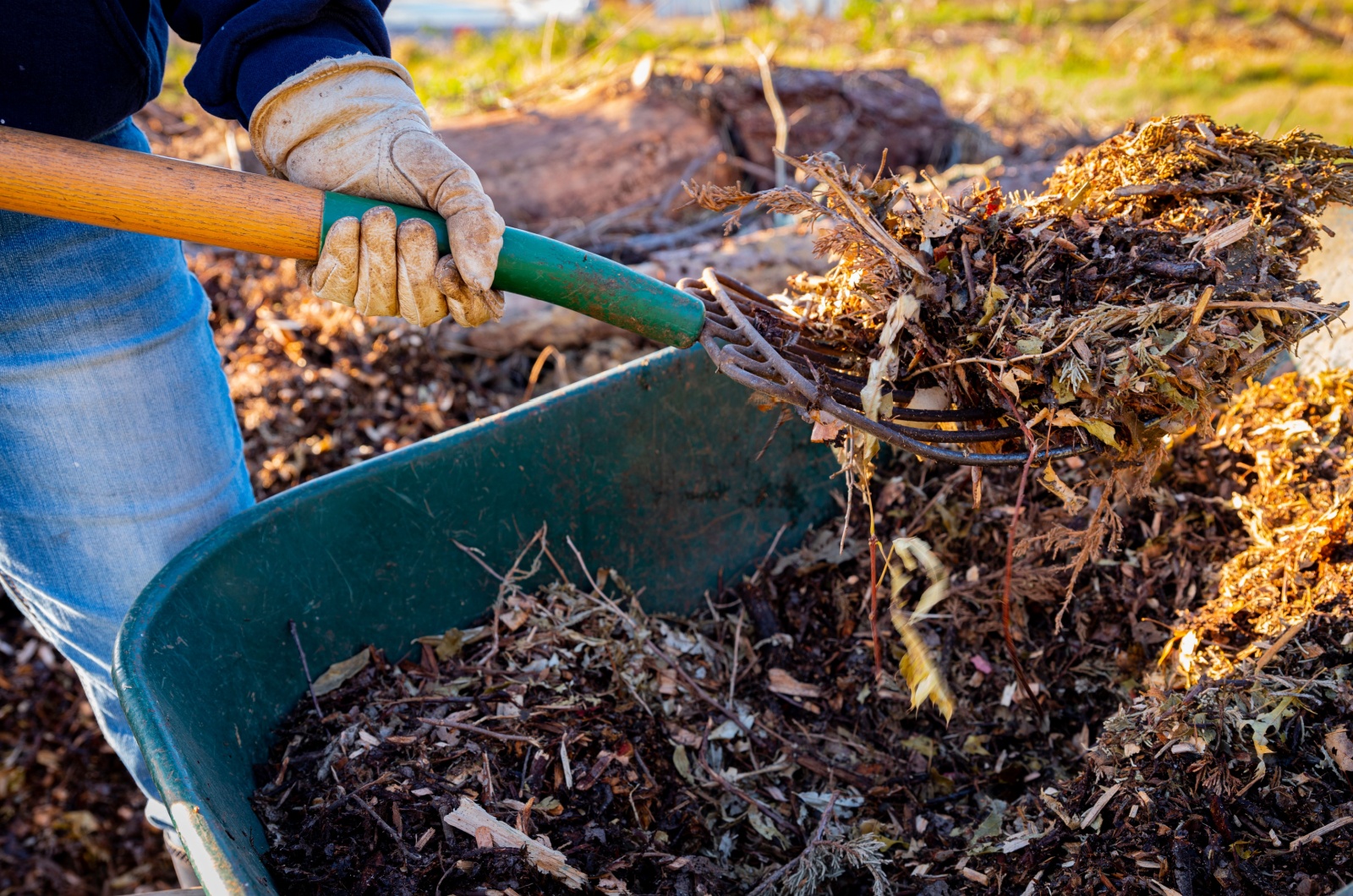 Using a pitchfork to add compost to soil