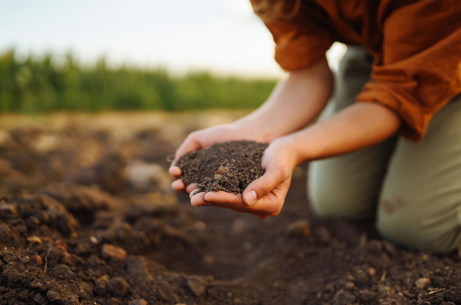 Woman holding a soil