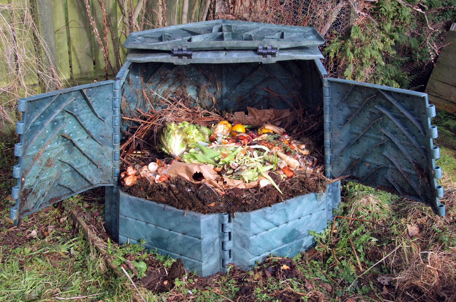 compost bin in garden