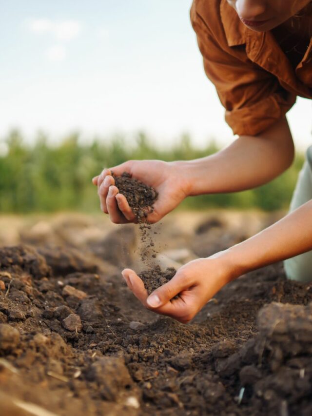 female holding soil in hands