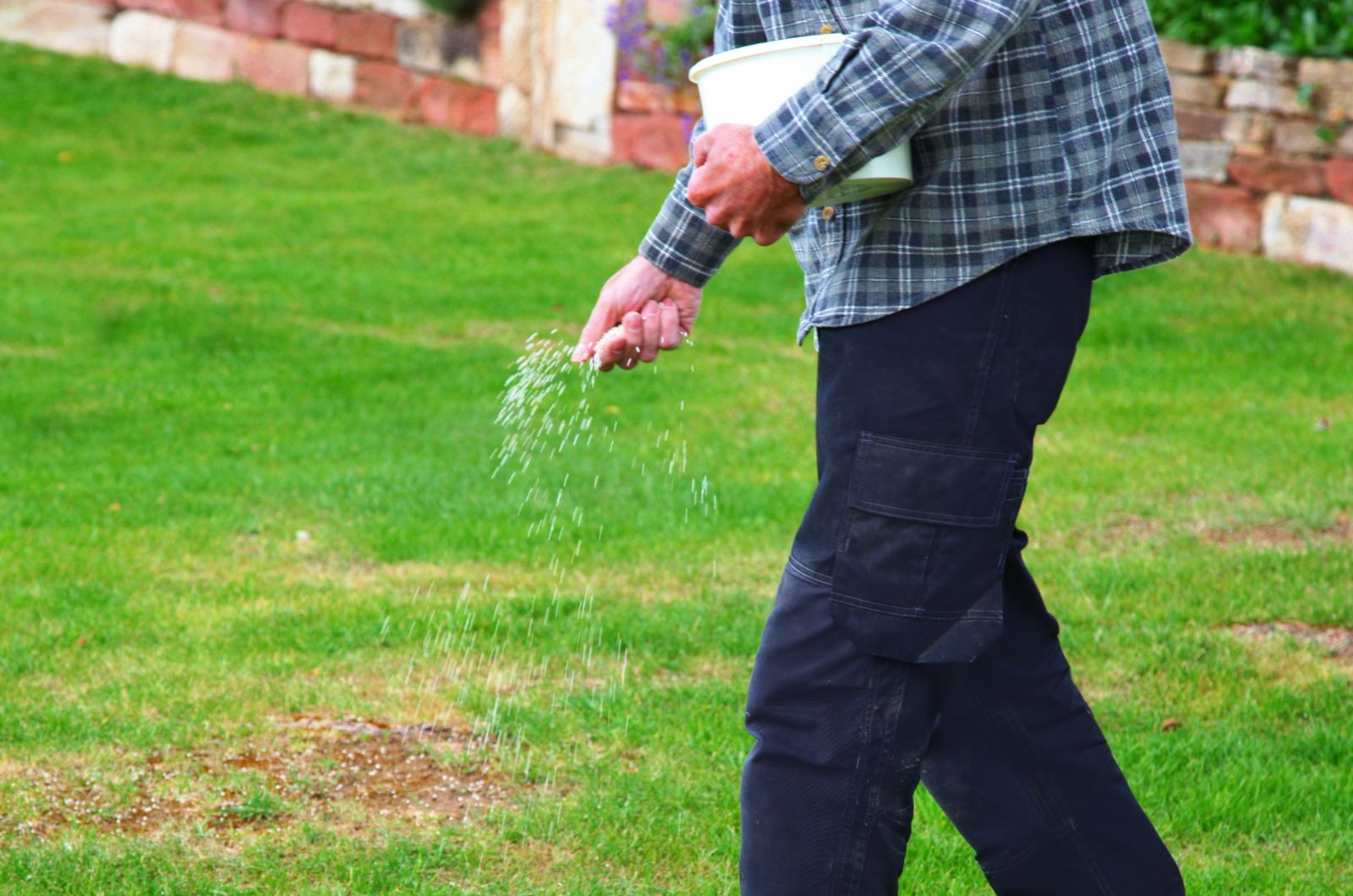 man fertilizing the lawn