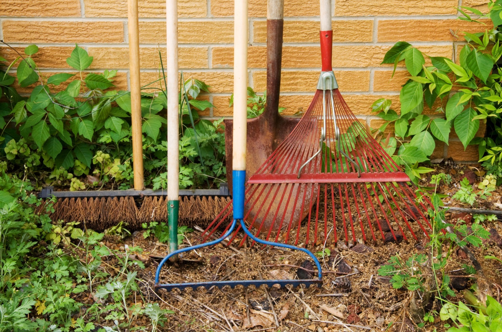 photo of gardening tools