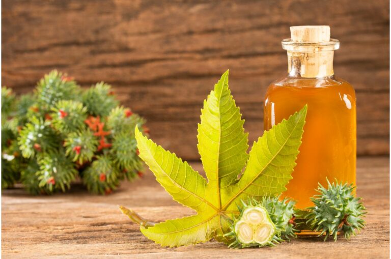 Use These 6 Brilliant Ways To Get Rid Of Skunks In Your Yard And Avoid