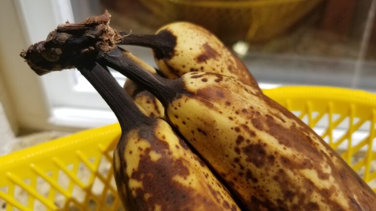 bananas
