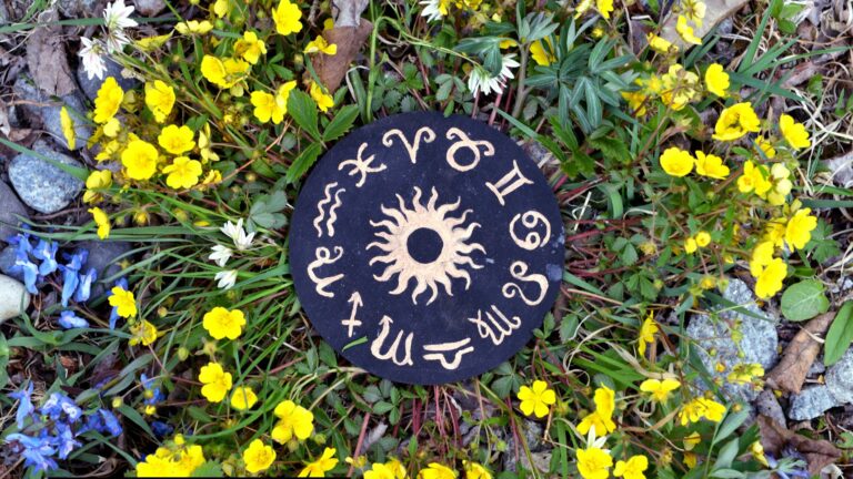 houseplants for zodiac signs