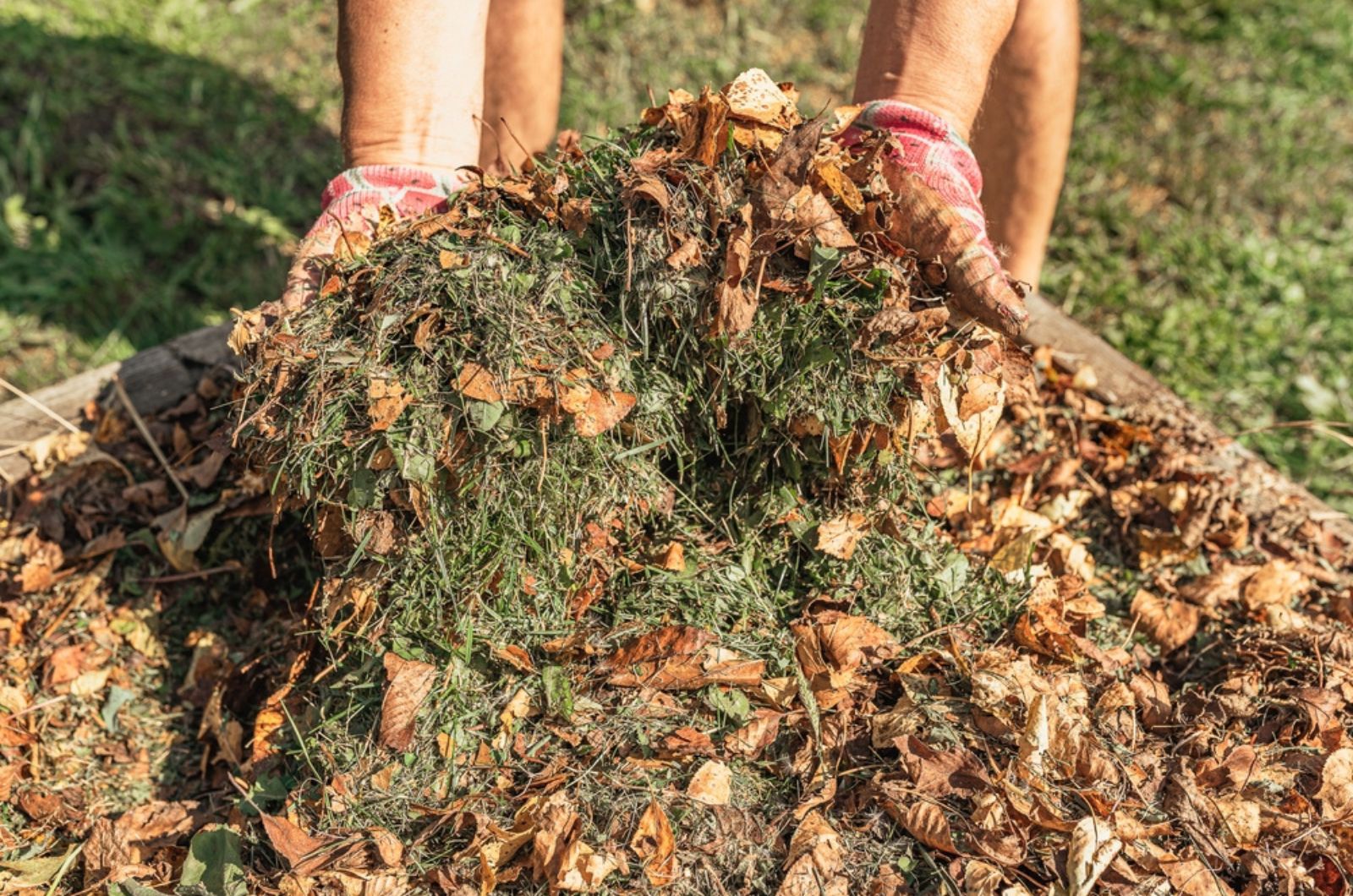 leaf mulch