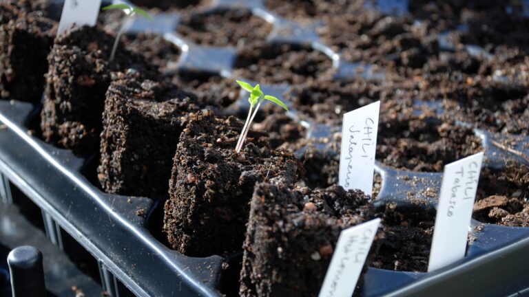Old Plastic containers