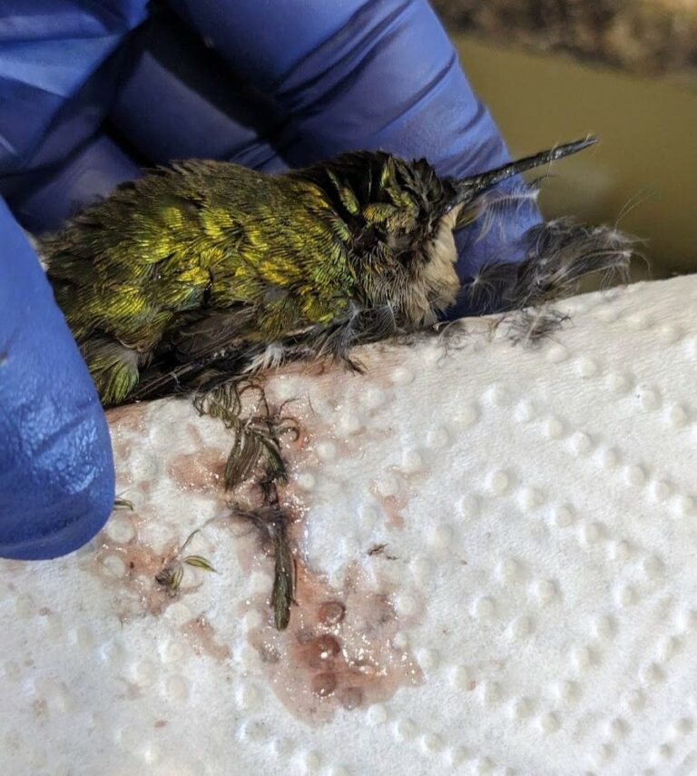 This Is Why Leaving Grape Jelly Outside Could End Tragically For