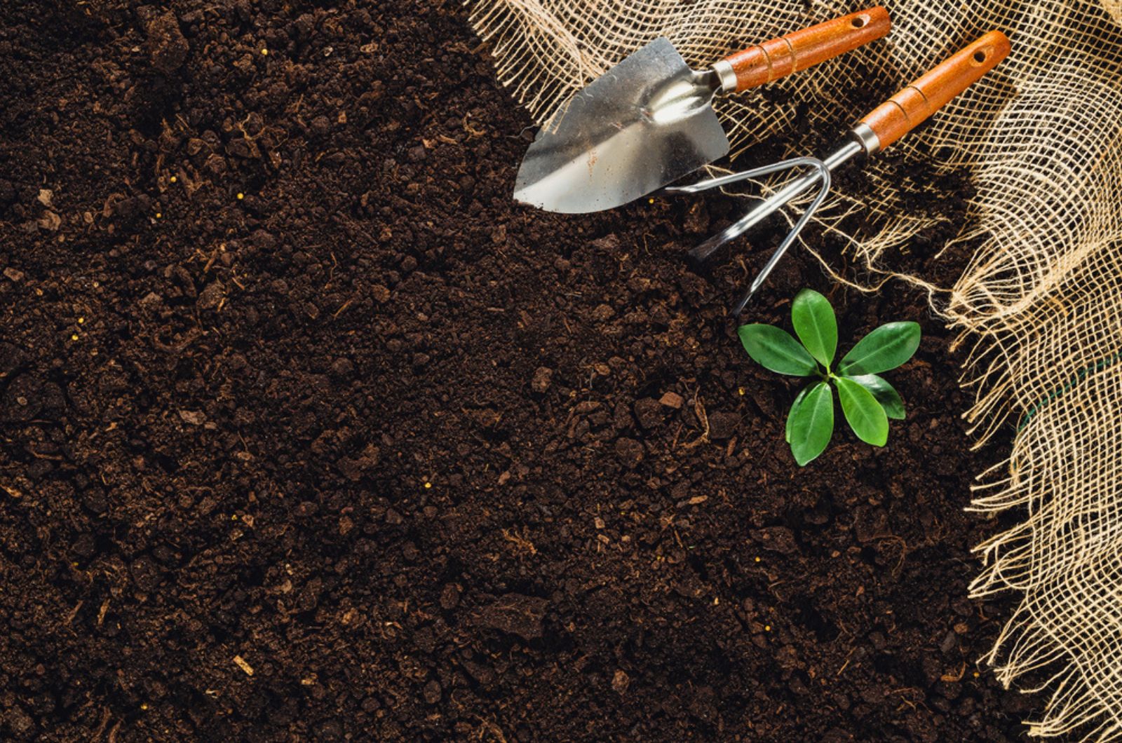 Gardening tools on fertile soil texture