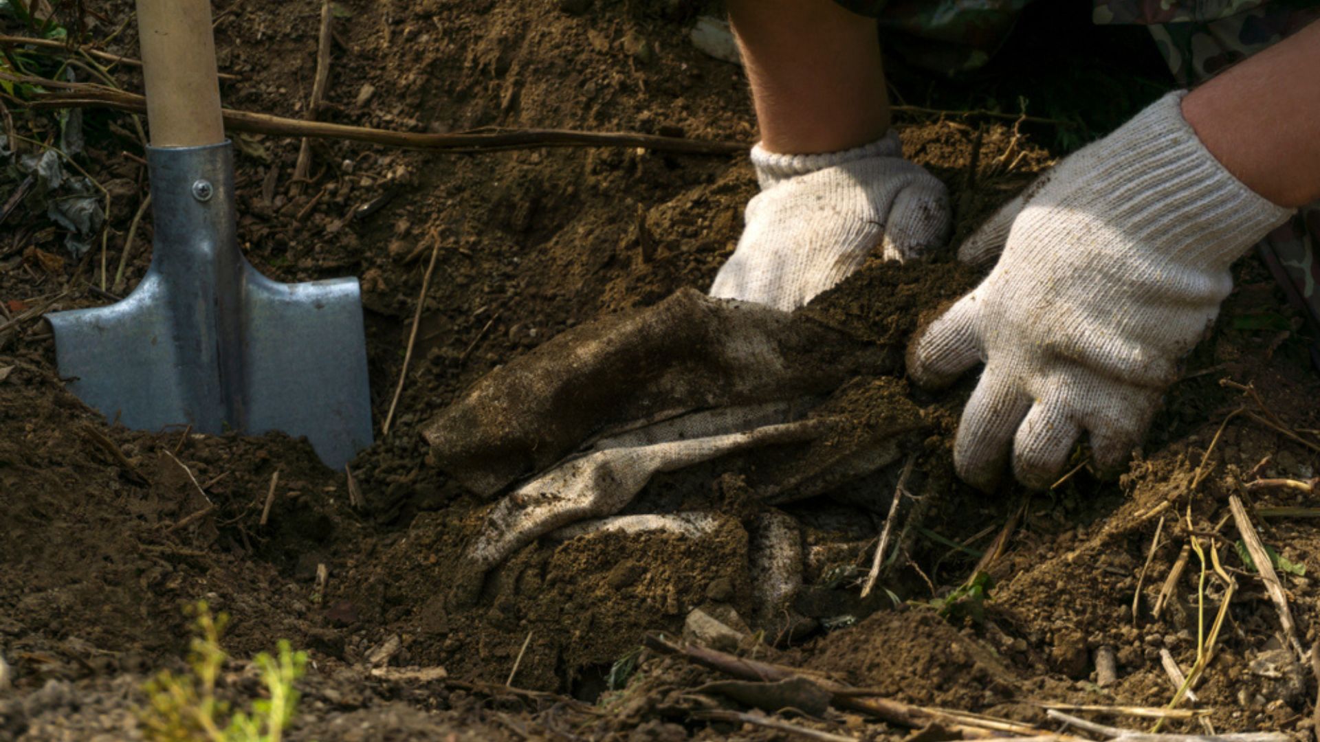 Is Your Soil Supercharged? Take The Underwear Test to Find Out