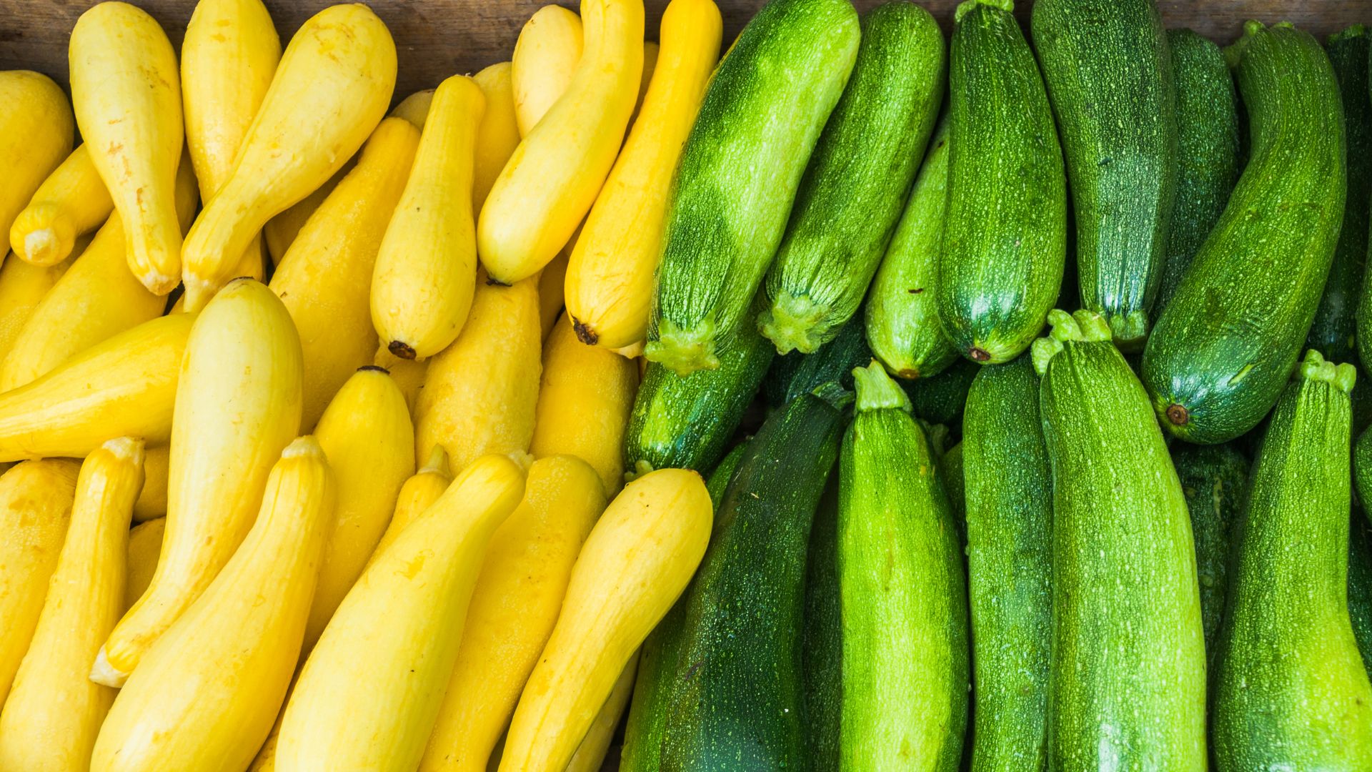 No Garden? No Problem! Just Follow This Step-by-Step Guide For Growing Squash In Containers 
