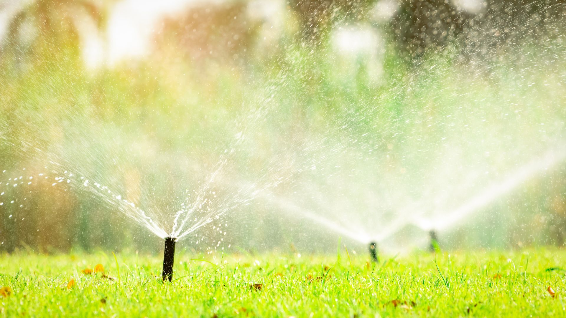Put Your Sprinkler Heads In The Perfect Spots To Keep Your Lawn Green All Season Long 