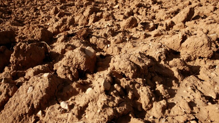 photo of clay soil