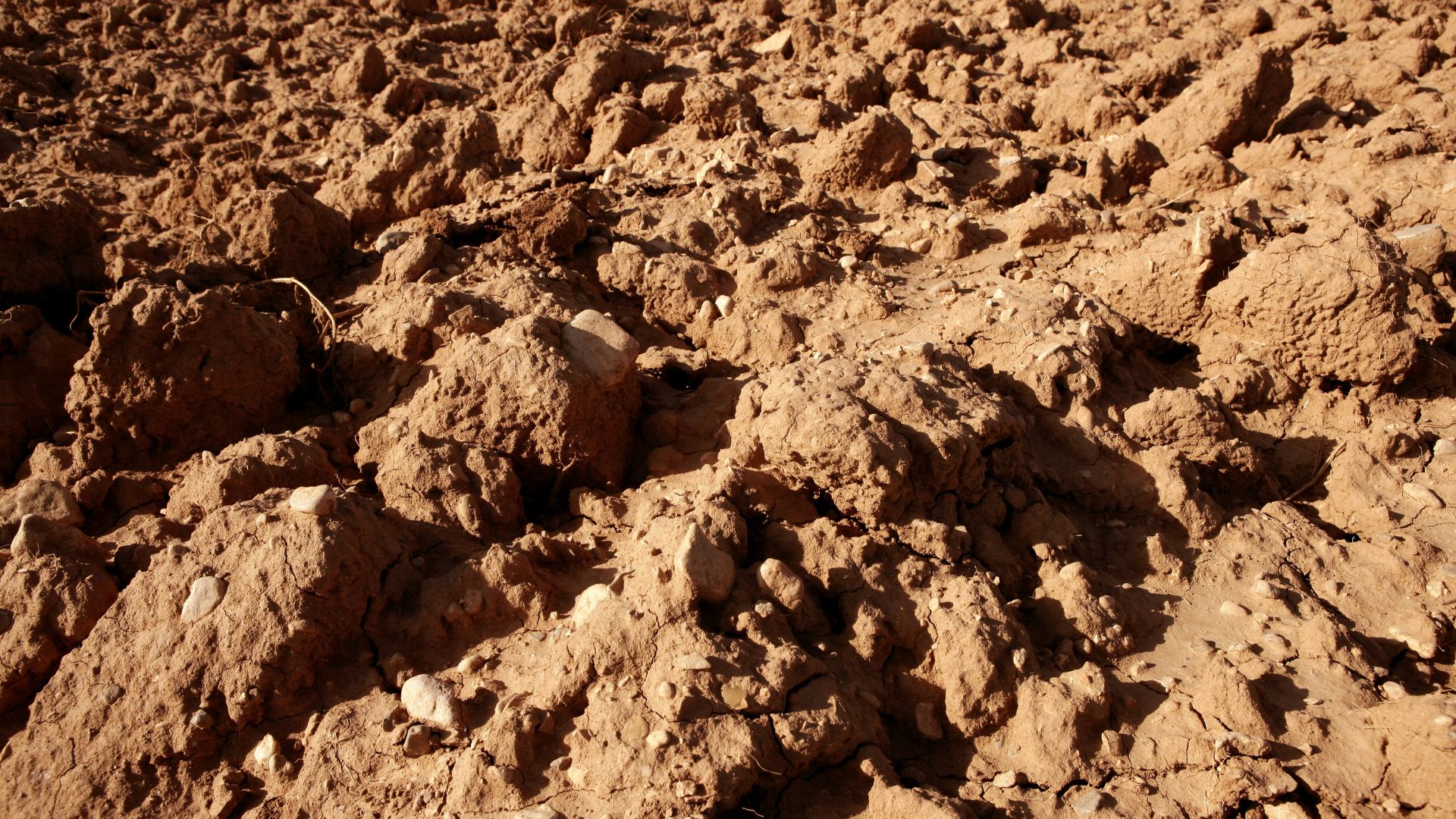 Take Your Heavy Clay Soil From Chunky To Chic With This Simple Trick