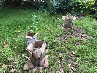 cardboxes in a garden
