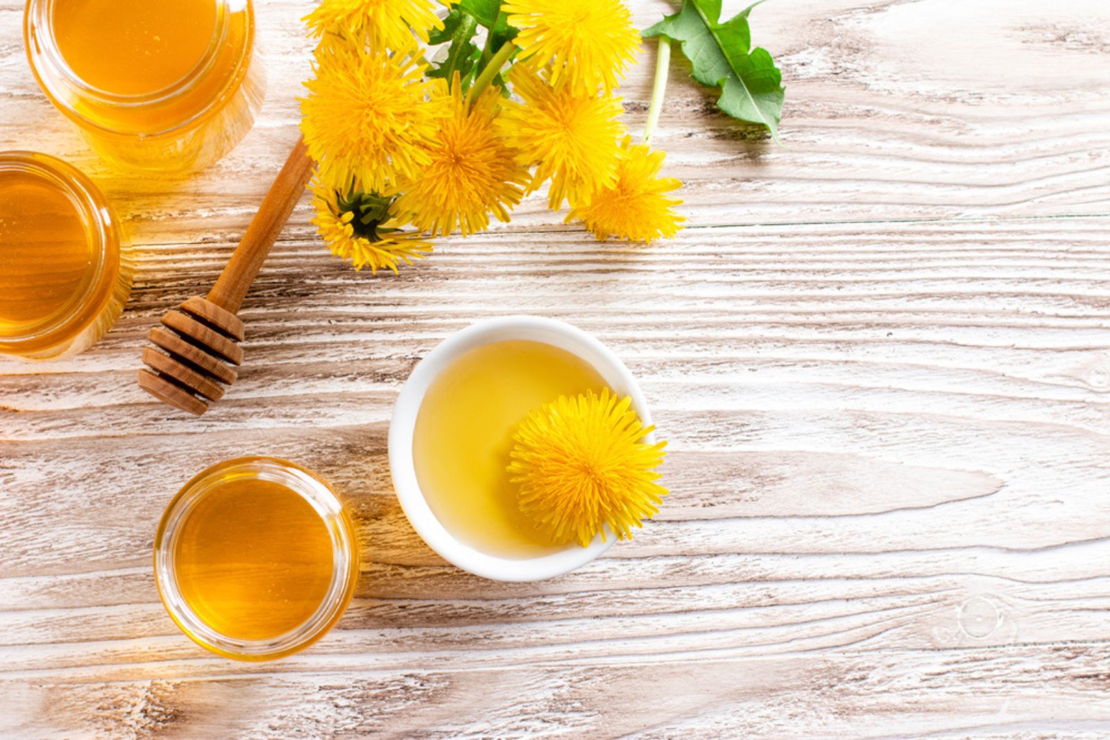 dandelion kombucha