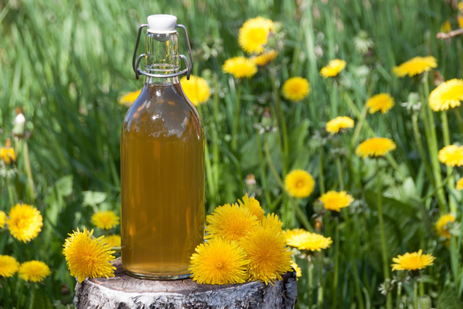 dandelion syrup