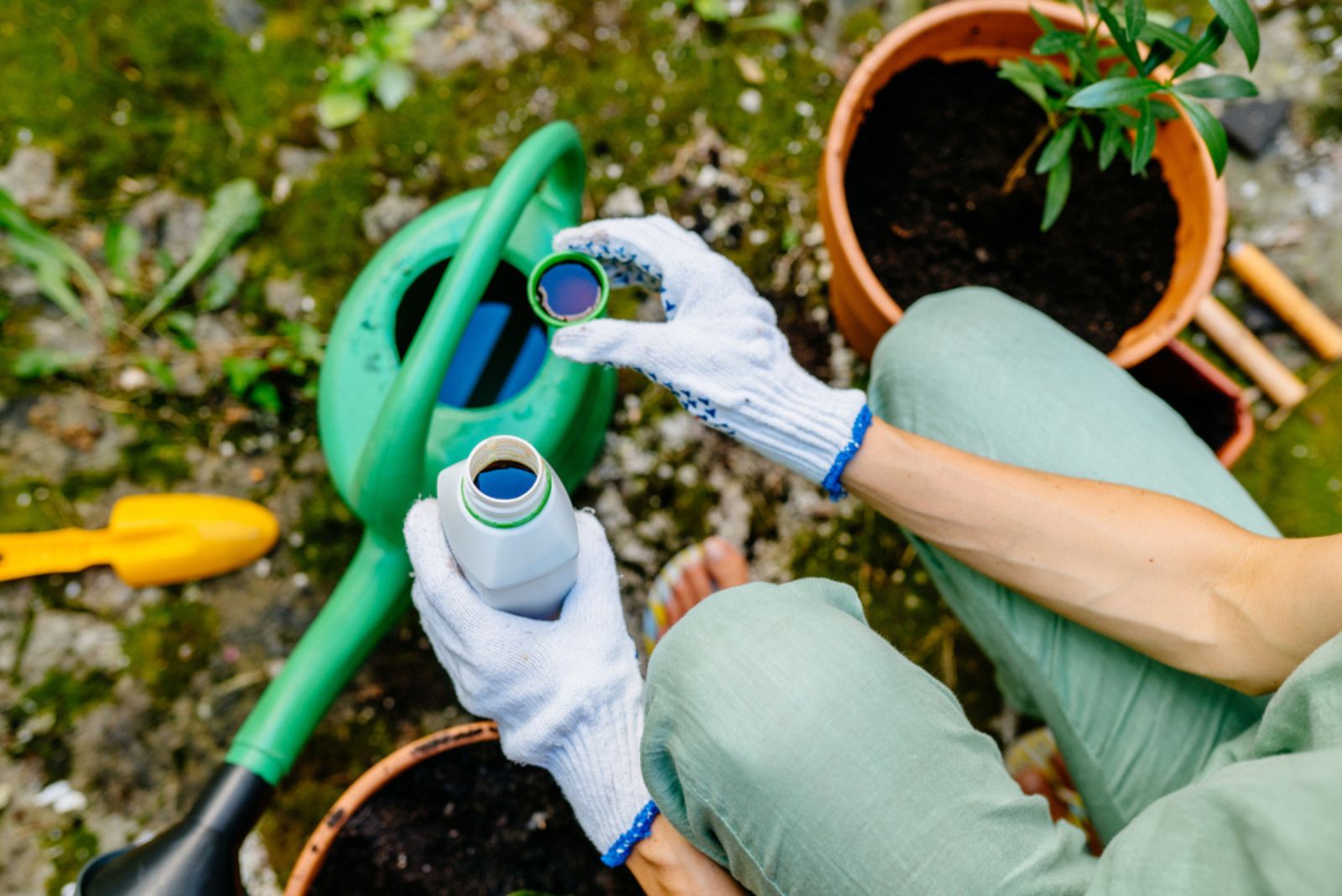 gardener using hydrogen peroxide for plant