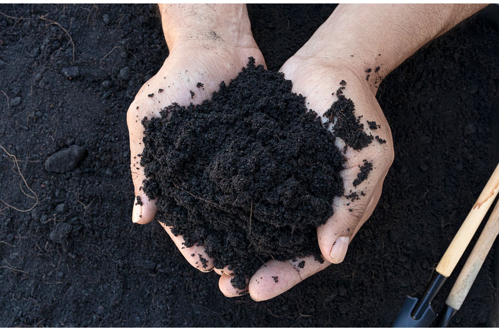 hands holding soil