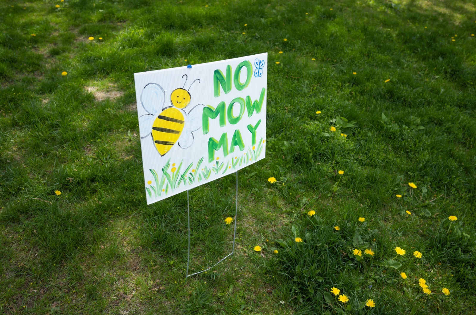 no mow may sign